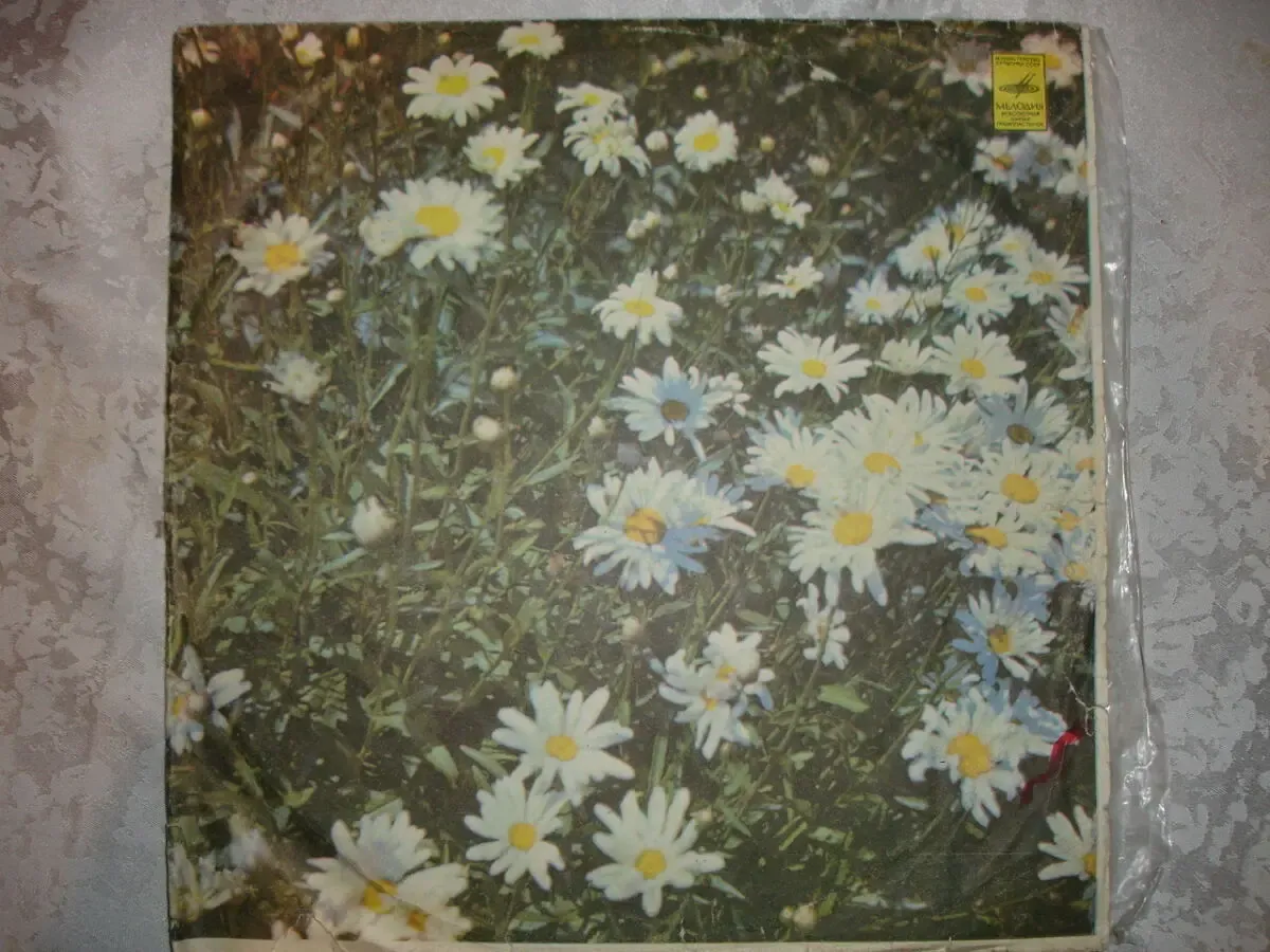 ПЛАСТИНКА/платівка вінілова: ВИА ВЕСЁЛЫЕ РЕБЯТА. 11 пісень. 1974 рік 2