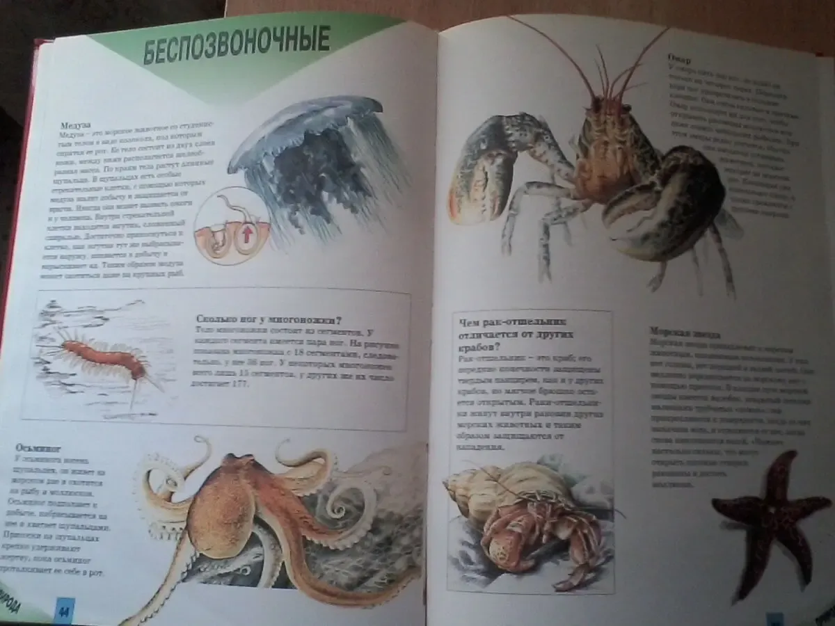 Всё обо всём.детская энциклопедия.формат:24,5/34/1,5см 4