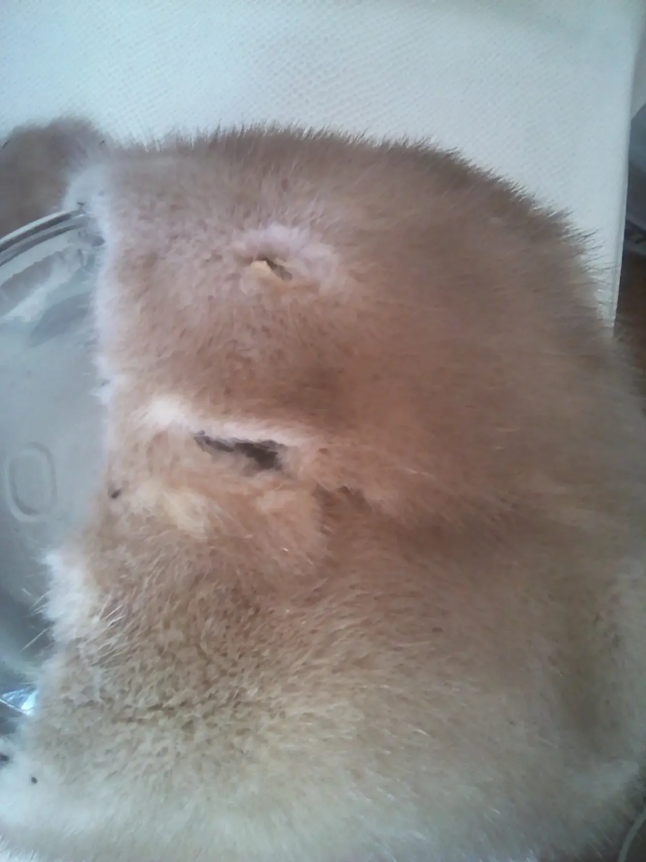 Шапка норковая женская р.55-56 с воротником 7