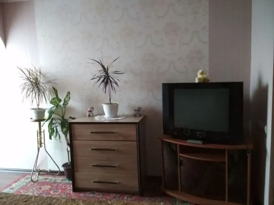 Сдам 1-комнатную квартиру в центре города Кропивницкий 6