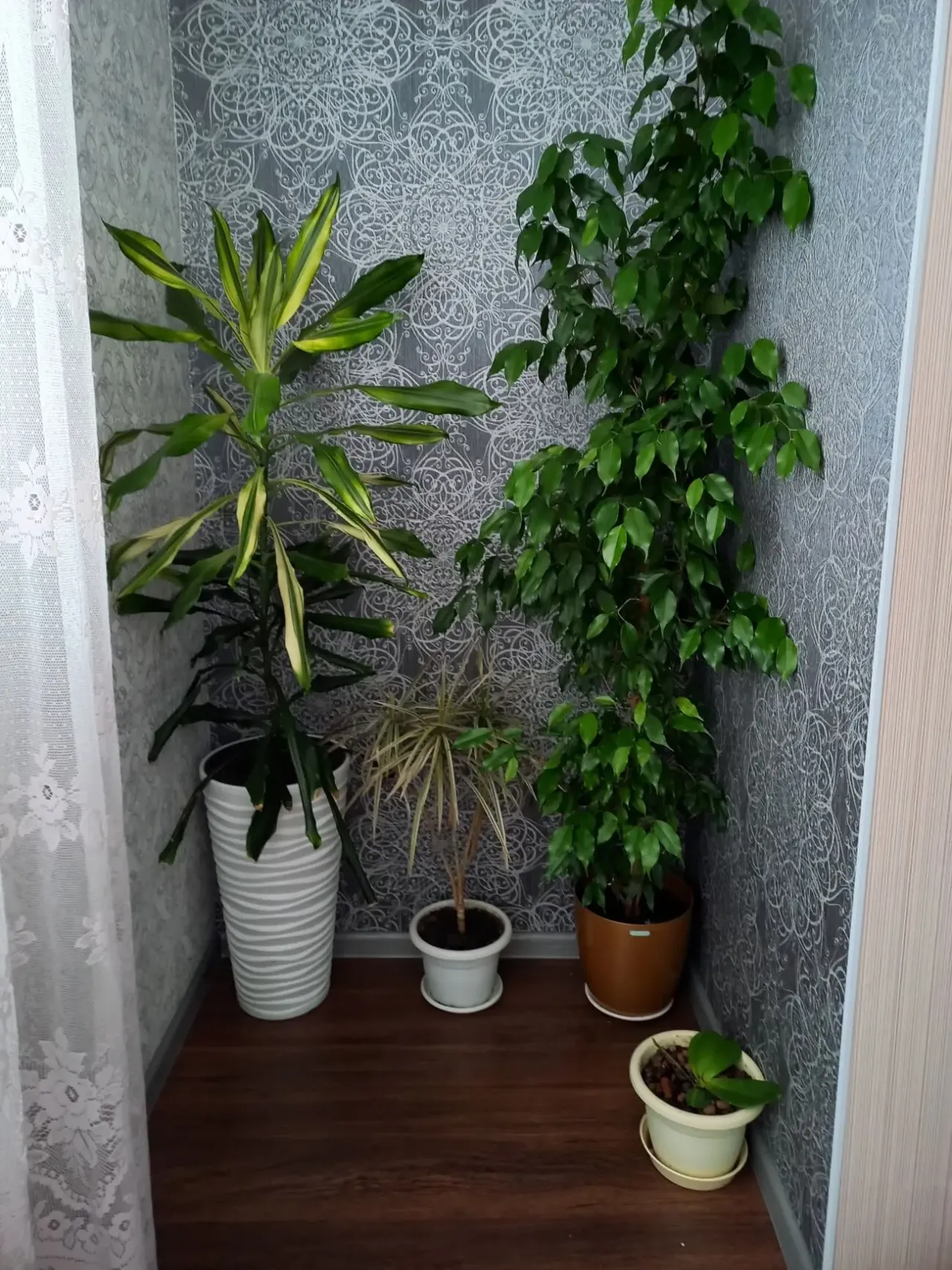 Сдам 1-комнатную квартиру в центре города Кропивницкий 10