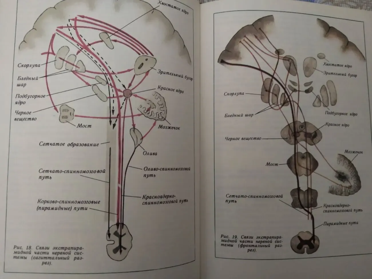 Медицинские книги. АТЛАСы. Литература.
