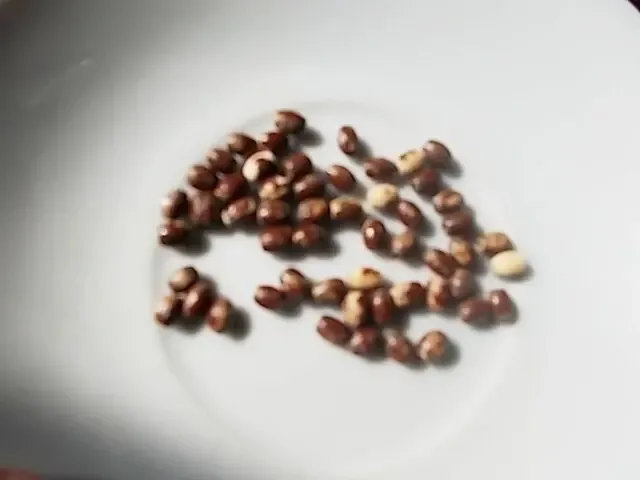 Бусины деревянные , For Hand Made, рукоделия, поделок 4