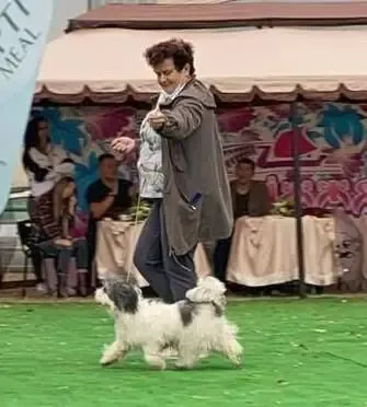 Цуценята українського одіса  від Чемпіонів та ТОП-собак 6