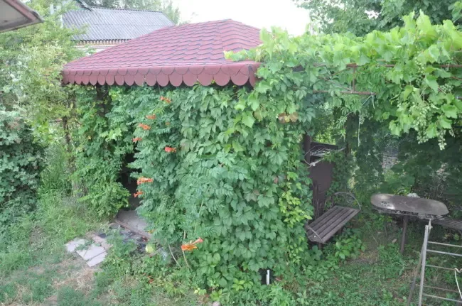Беседки садовые. 