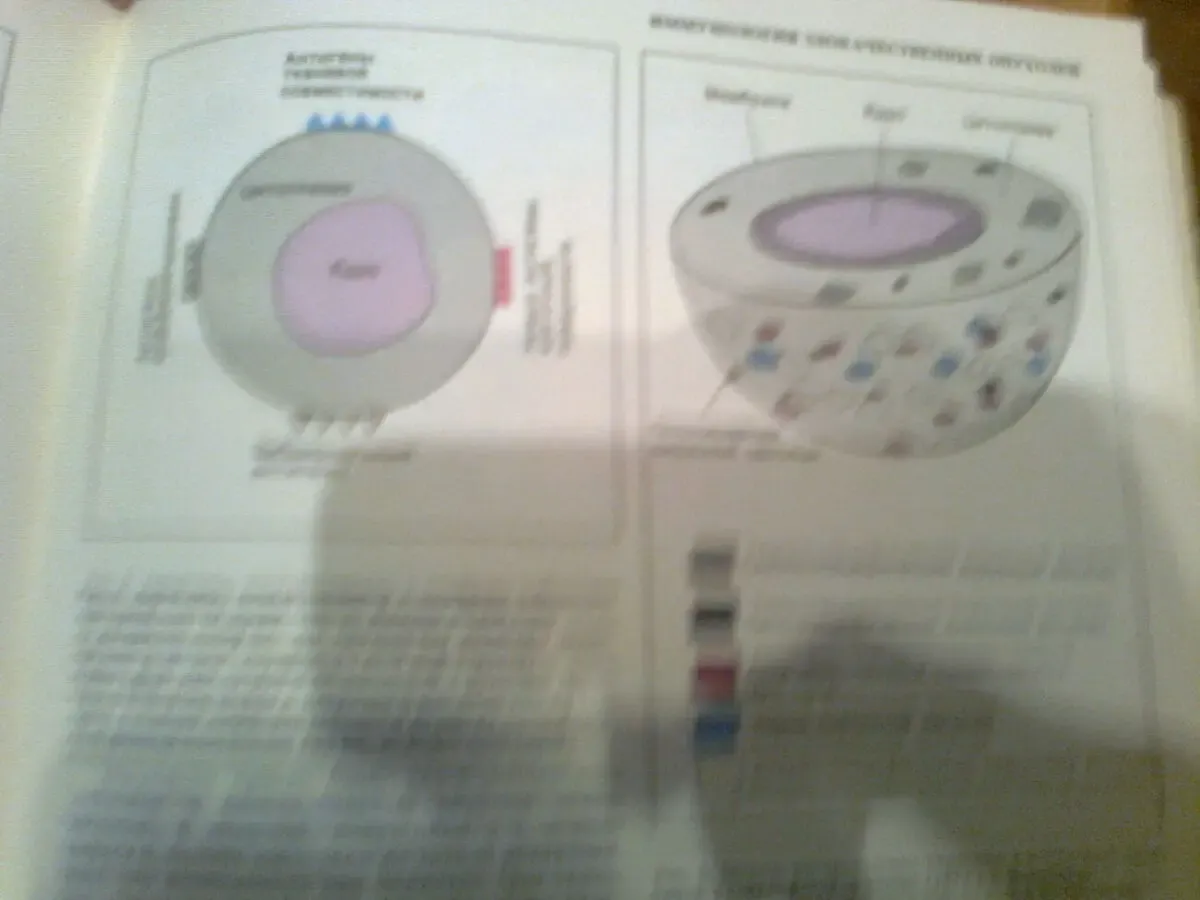 НАУКА и человечество 1983.Международный шежегодник.Москва 7