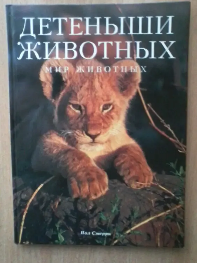 Детёныши животных.Пол Стерри.Бумага мелованная.Формат:24/34/1 см