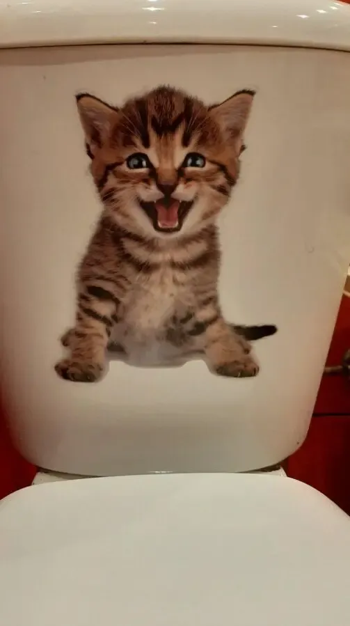 Наклейка котик номер 5 для ванны, детской комнаты 6