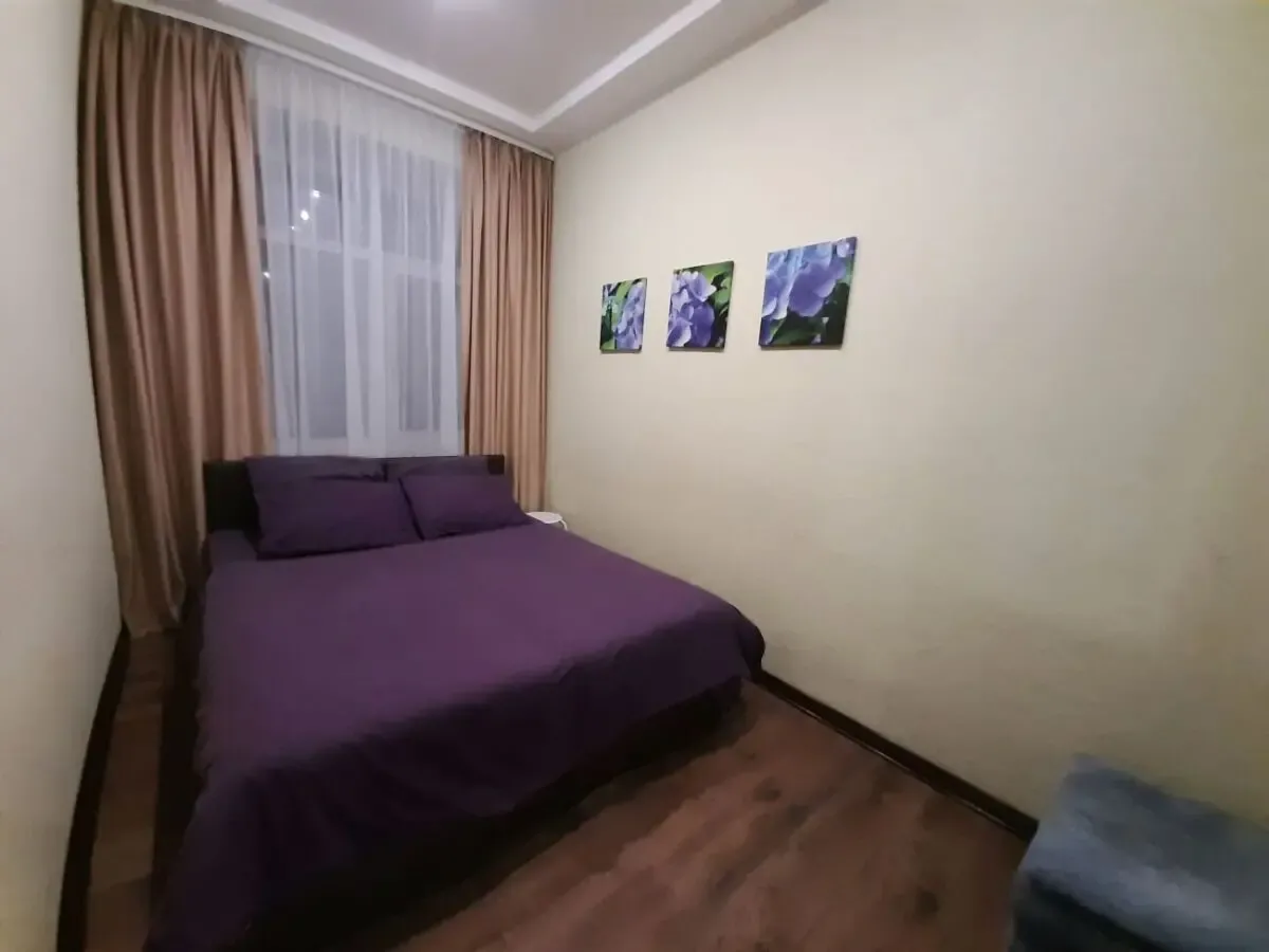 метро Пушкинская и Бекетова, самый центр! посуточно сдам 2к квартиру! 9