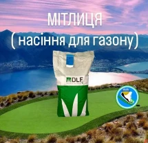 Газон Полевица  многолетняя низкорослая газонная трава