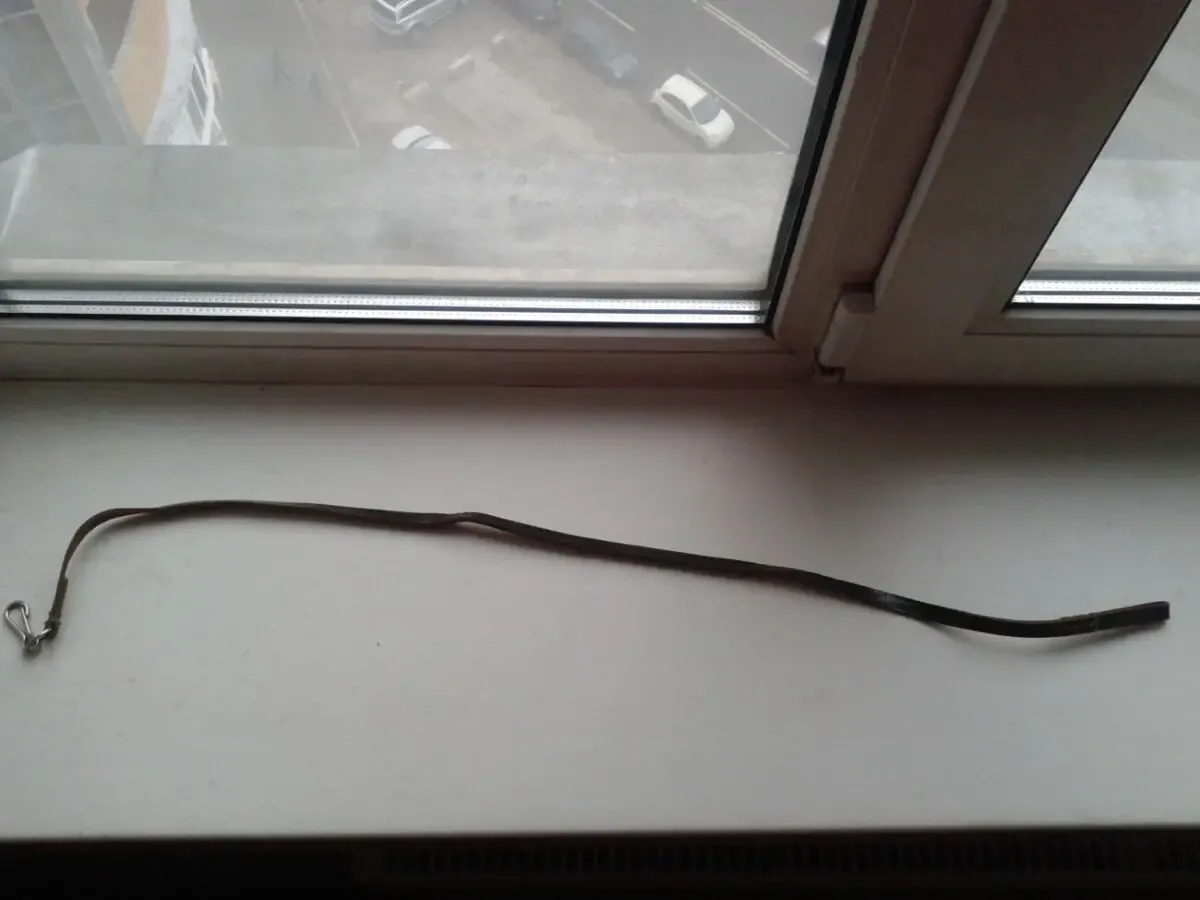 Ремінець - поводок з карабіном 3