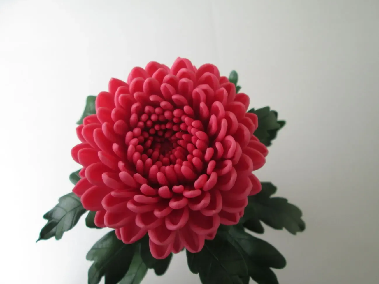 Хризантема из холодного фарфора. Ручная работа. 4