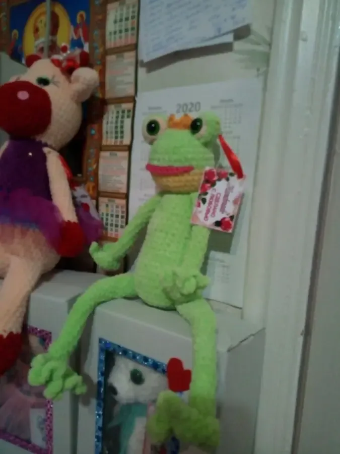 Плюшевая Царевна-лягушка. 4