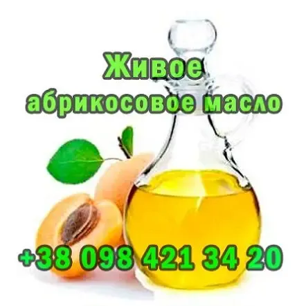 Свежевыжатое абрикосовое масло