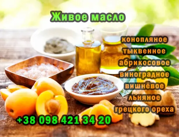 Конопляное масло fresh-organic холодного отжима на деревянном прессе 2