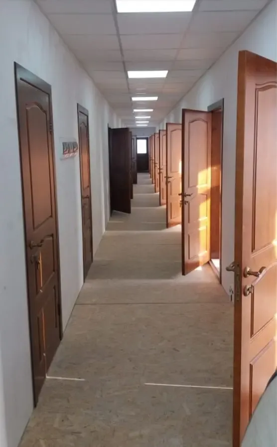 Деревянные двери. 5