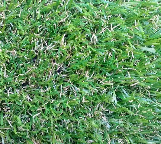 Декоративная трава, искусственный газон