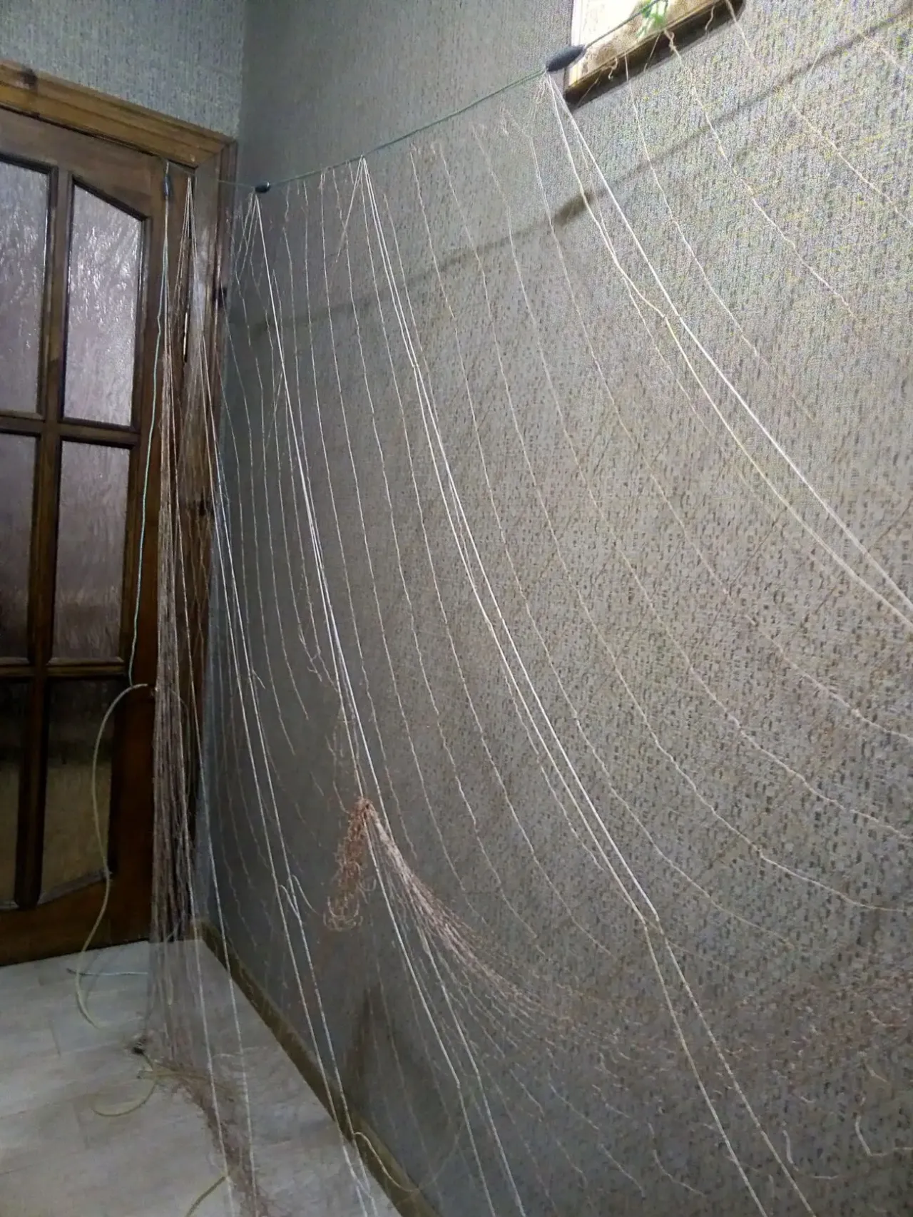 сеть рамная 2