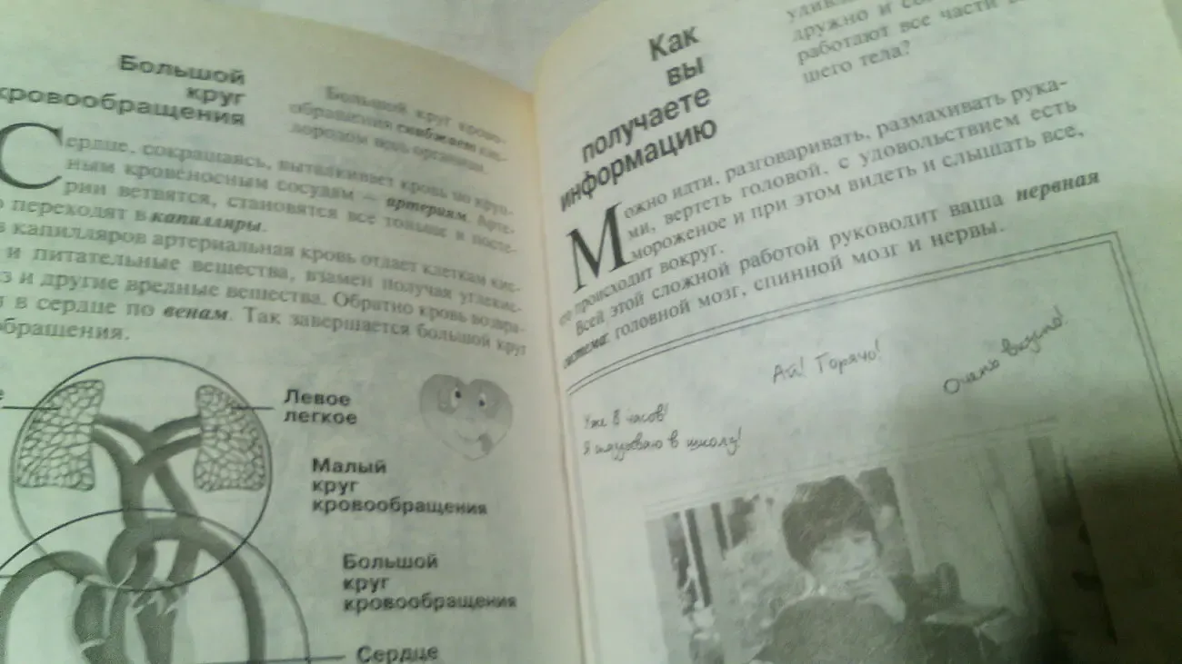 Природоведение. 6