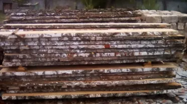 Продаем  доску березовую н/о cвежепиленная