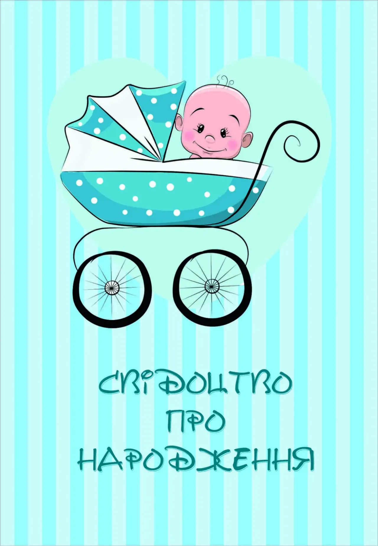 Обкладинка для Свідоцтва про народження для дівчаток 4