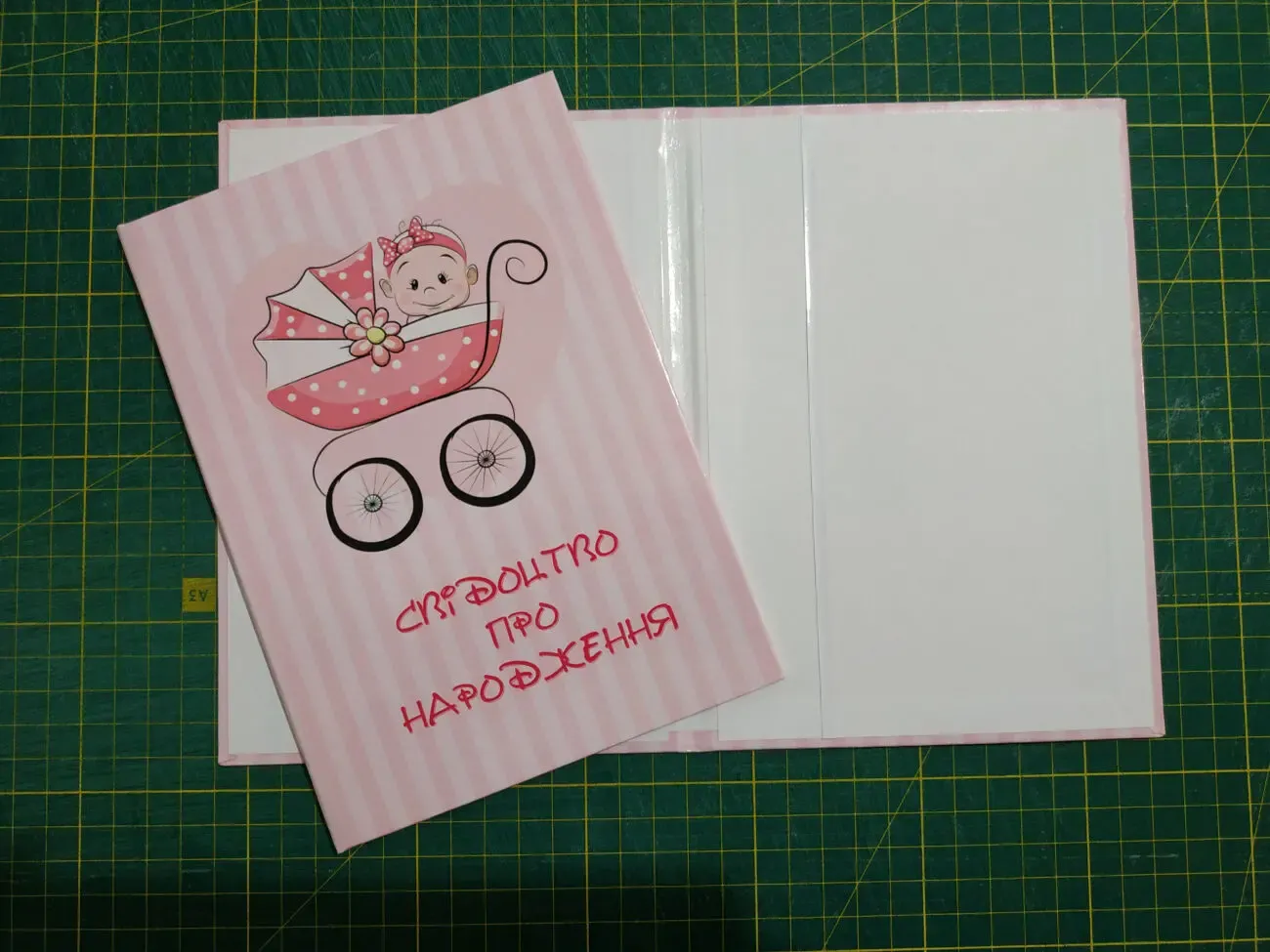 Обкладинка для Свідоцтва про народження для дівчаток 2