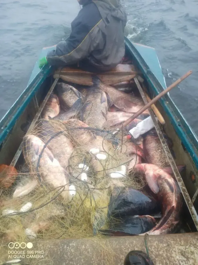 Сеть для ловли толстолоба 9