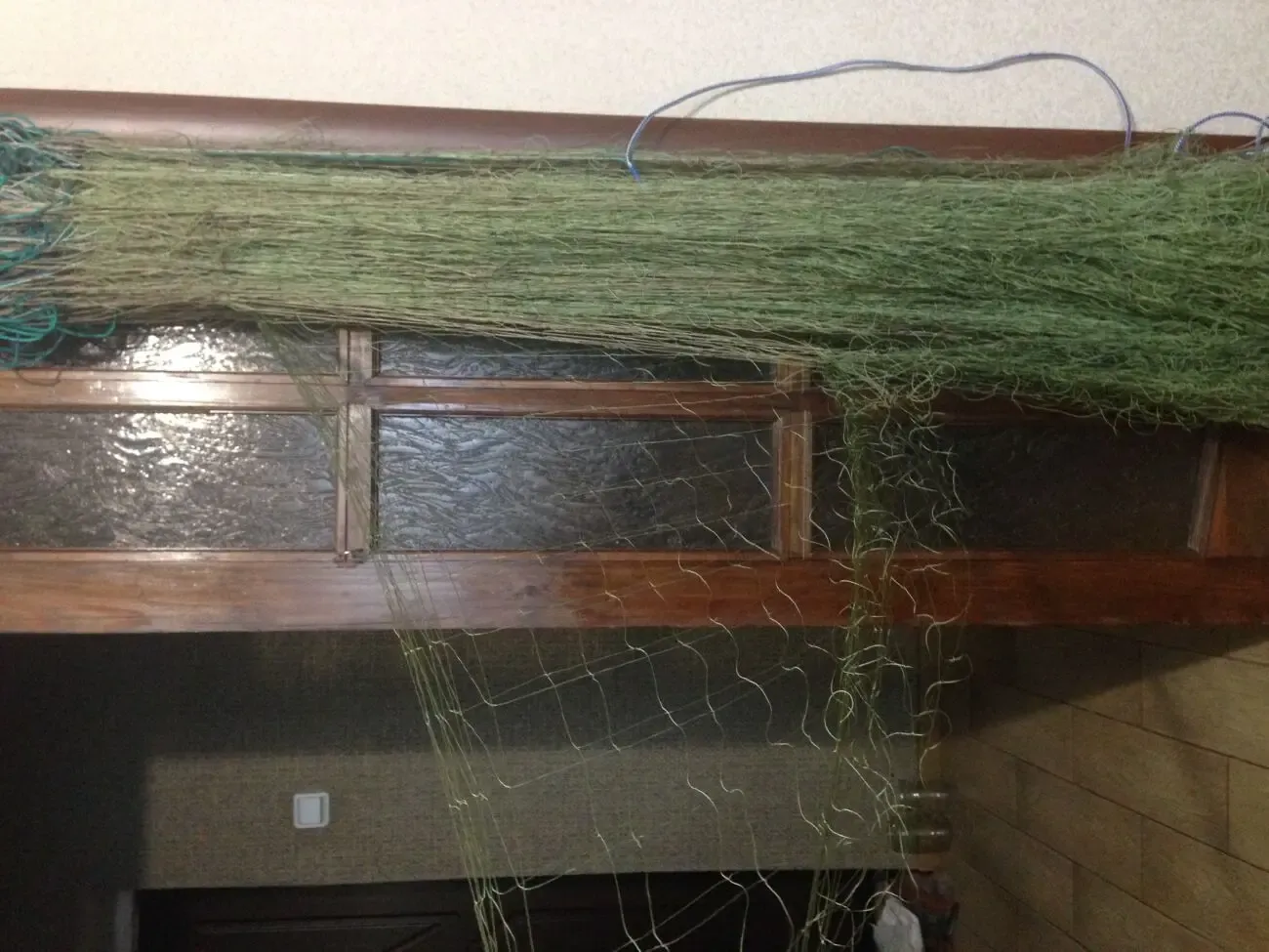 Сеть для ловли толстолоба 2