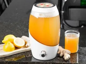 продаю органическую комбучу, чайный гриб, комбуча, kombucha