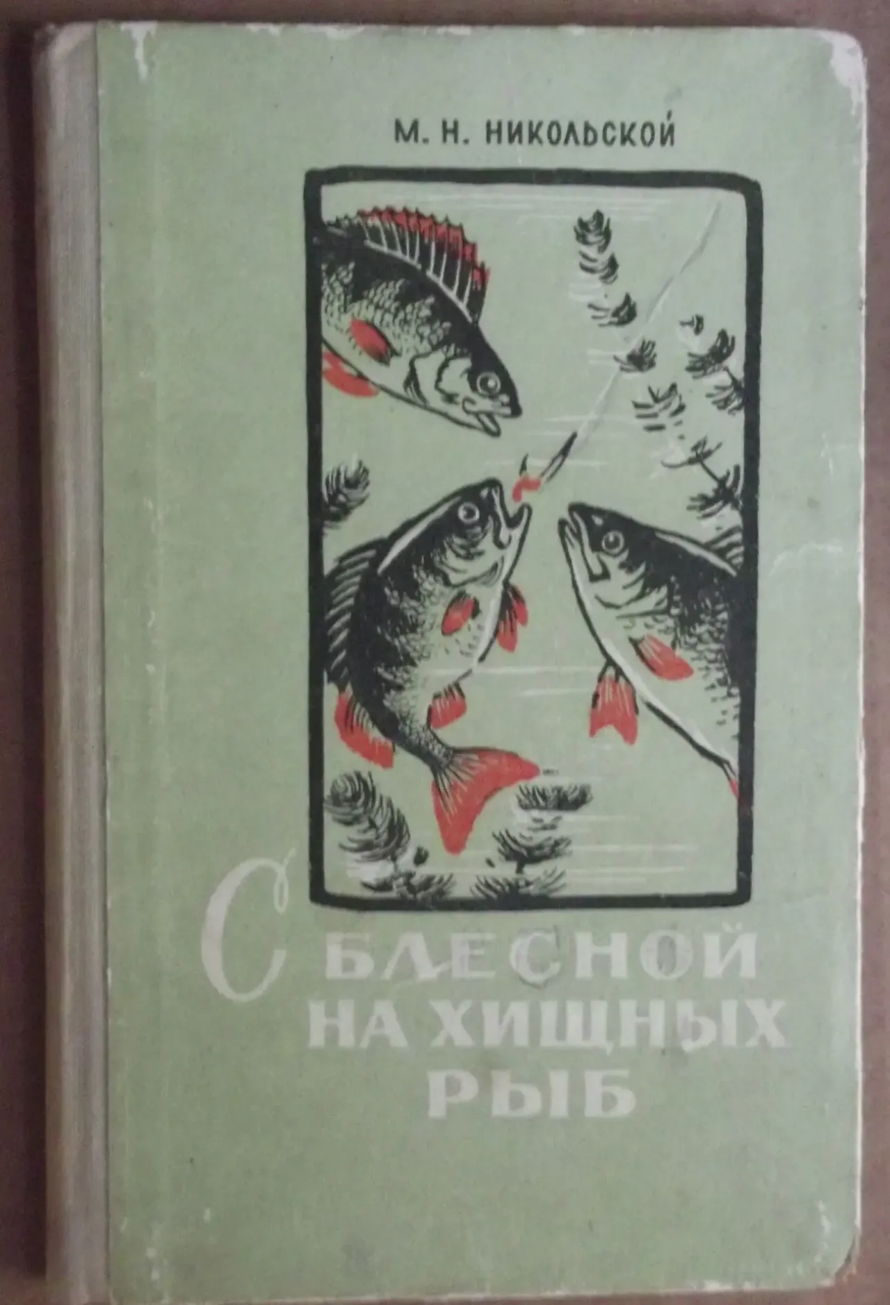 С блесной на хищных рыб