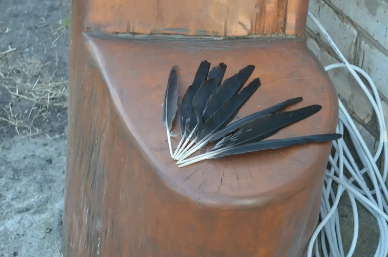 Перья лесного ворона 2