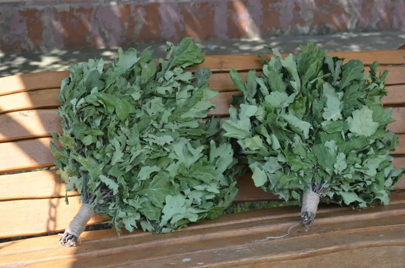 Веники банные дуб 10 штук лот 3