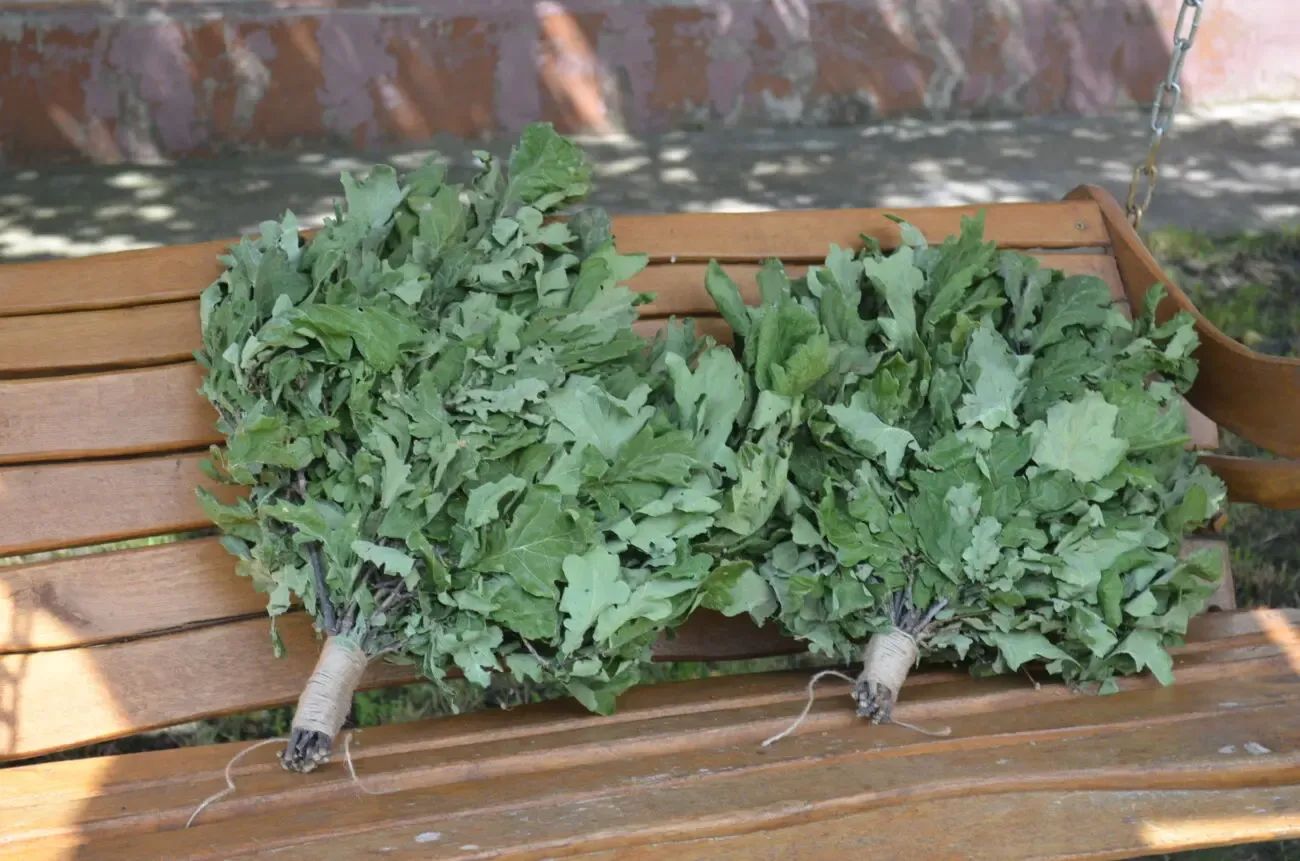 Веники банные дуб 10 штук лот 2