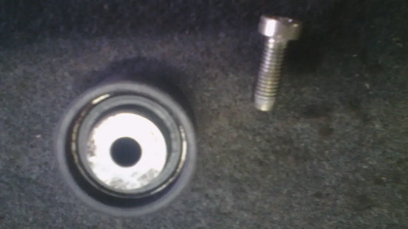 Ролик ремня грм Ina F- 212973.15 Форд оригинал 3