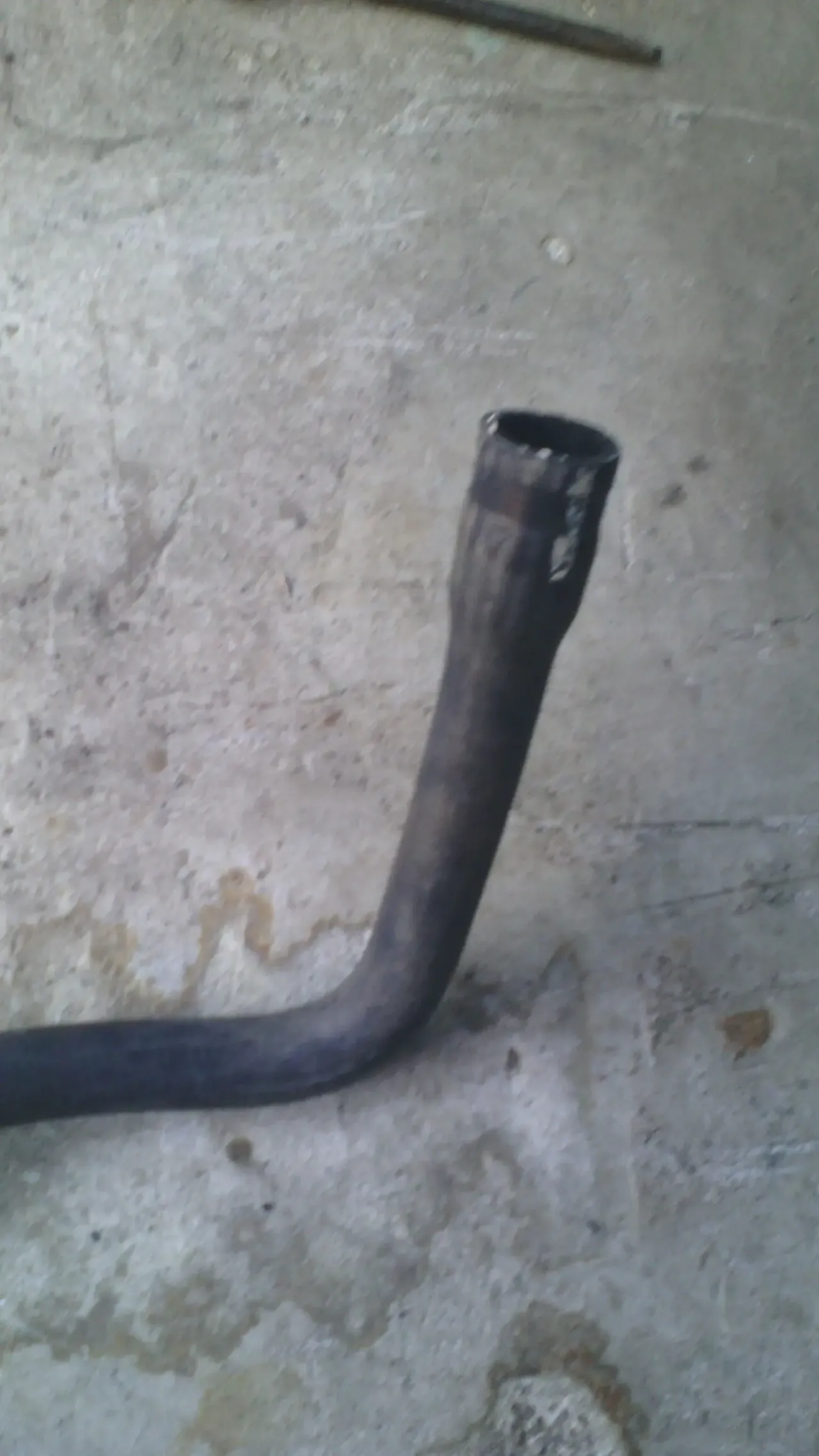 Шланг радиатора нижний 89gb-8286-aa Форд 2.9 оригинал 3