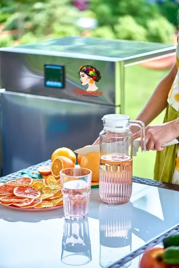 Сушилка инфракрасная Фрукториана для сушки пастилы и экочипсов 6