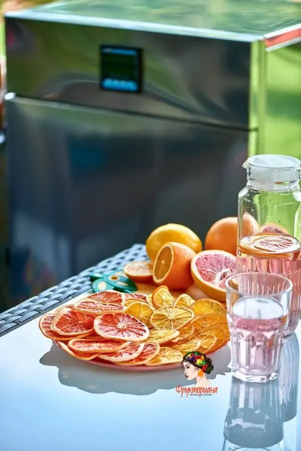 Сушилка инфракрасная Фрукториана для сушки пастилы и экочипсов 10