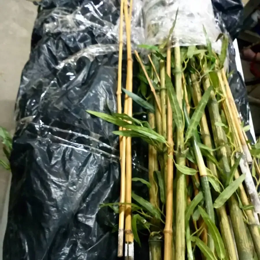 Декоративный бамбуковый ствол 3