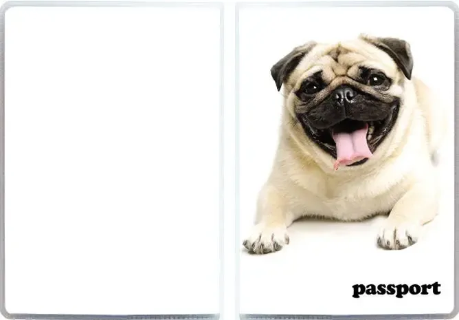 Обкладинки на паспорт 7