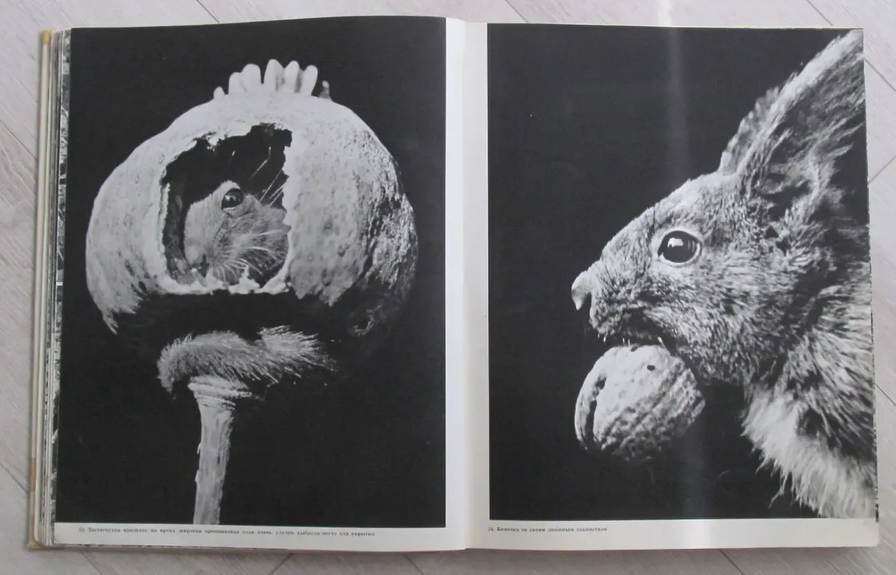 Фотоальбом 