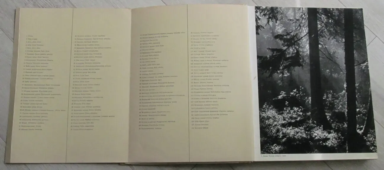 Фотоальбом 