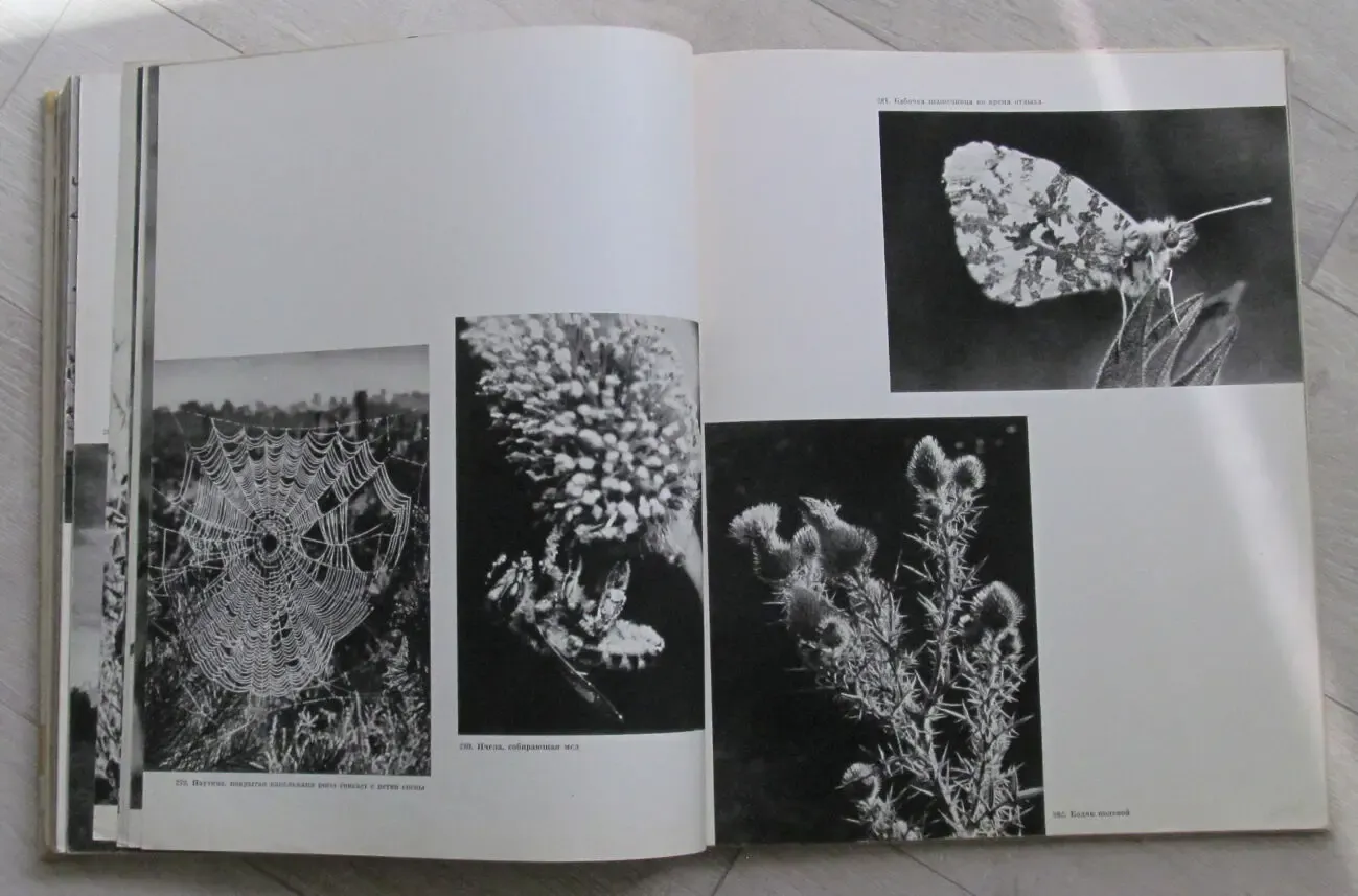 Фотоальбом 