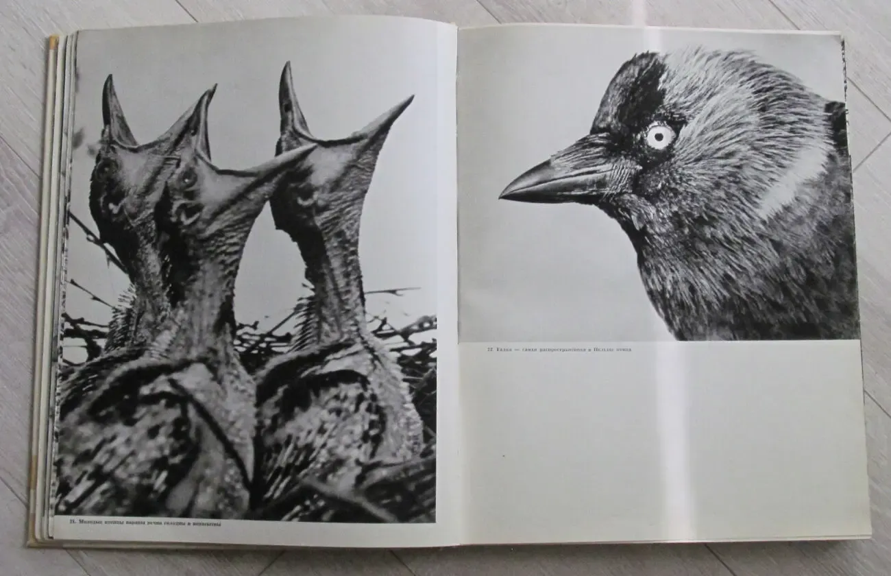 Фотоальбом 