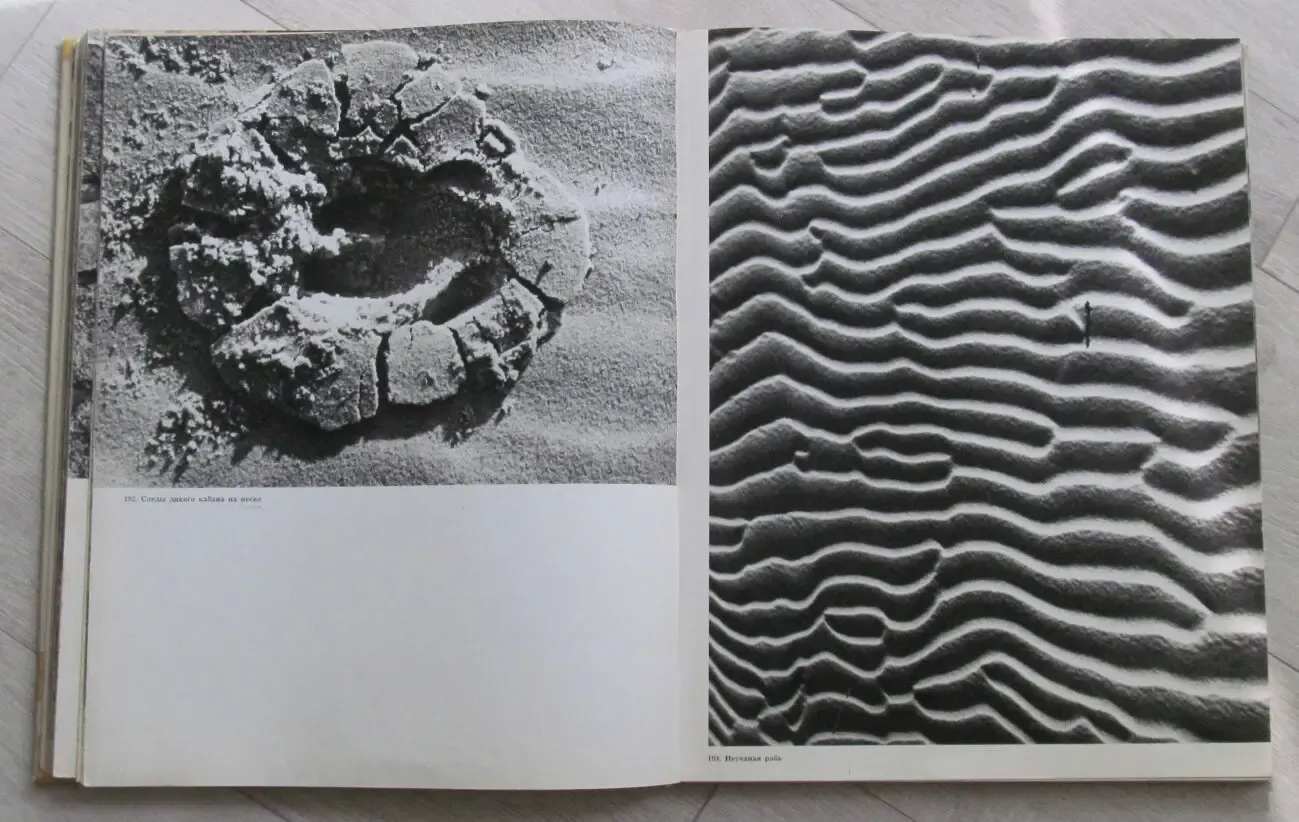 Фотоальбом 