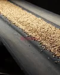 нория зерновая