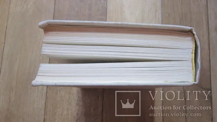 Конст. Федин Первые радости Необыкновенное лето 3