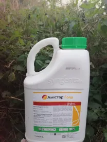 Амістар Голд - фунгіцид для контролю хвороб соняшнику.