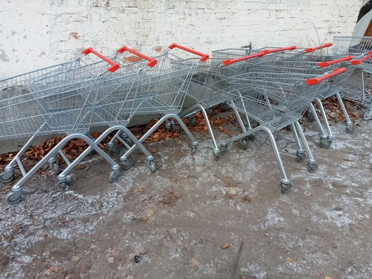 Торговые тележки б/у, покупательские тележки 80 л. Wanzl б у, 4