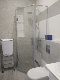 Стеклянные двери безрамные, прозрачные и матовые