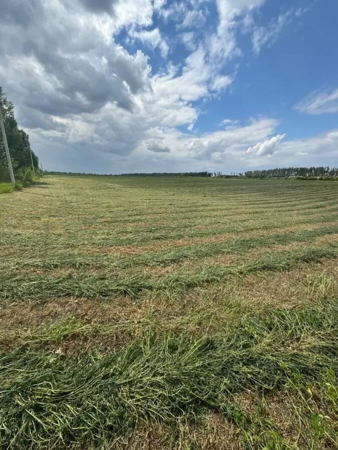 Земельный участок 5Га, c.Бузовая, Киевская область 10